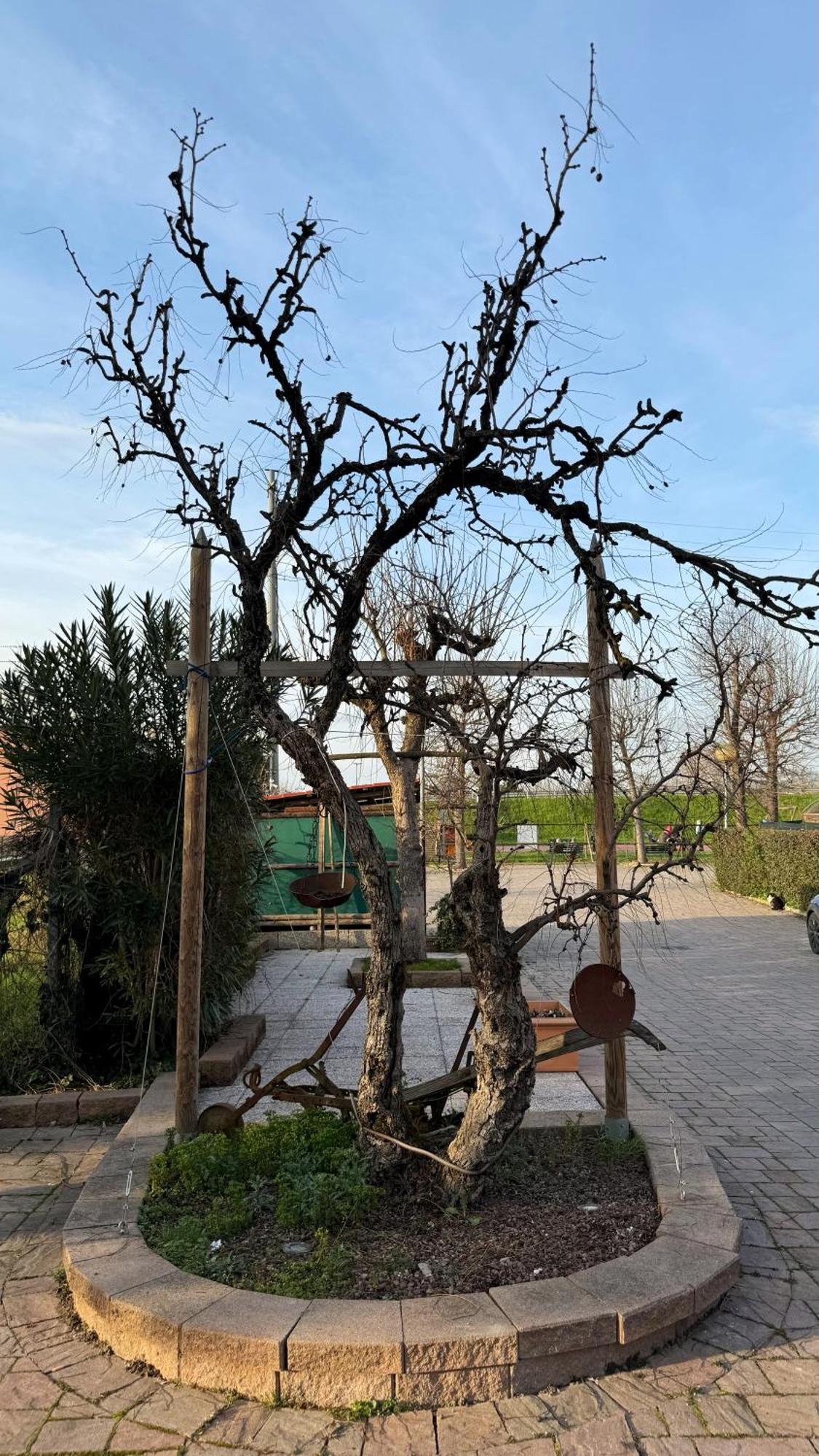 Estalagem La Busa E Trattoria
